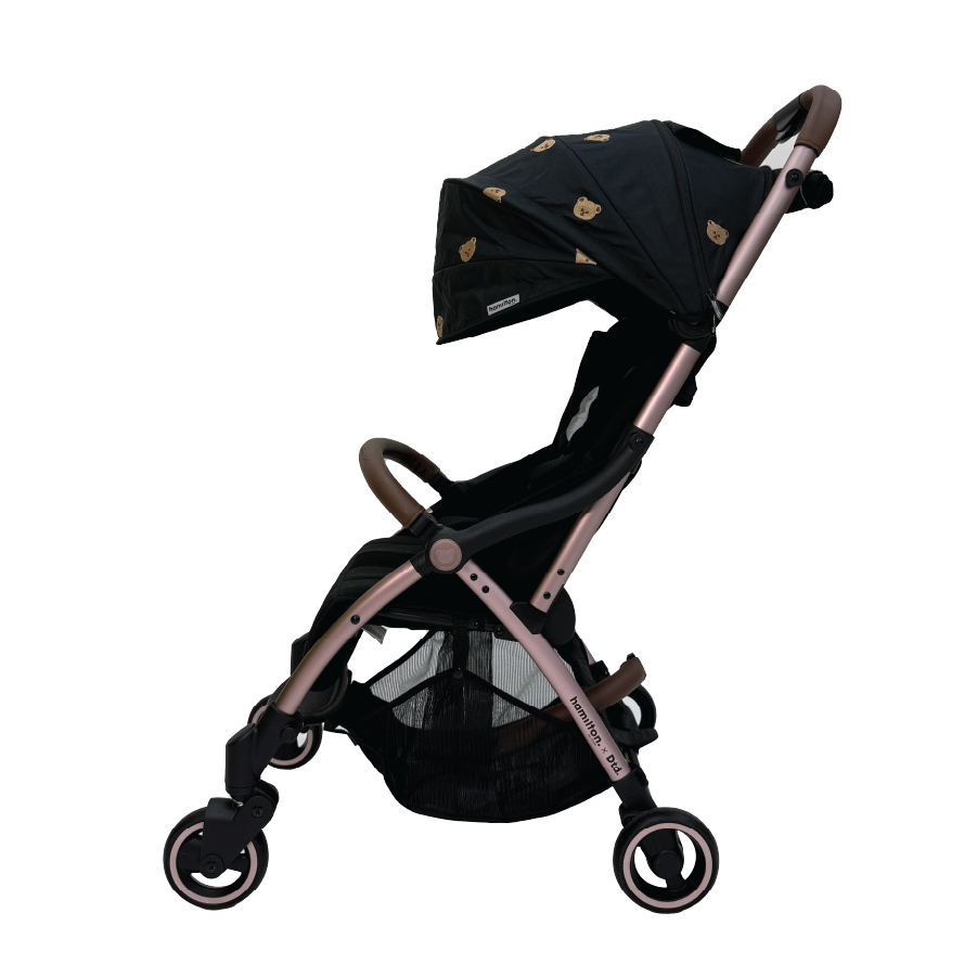 X1 Plus x DTD Stroller
