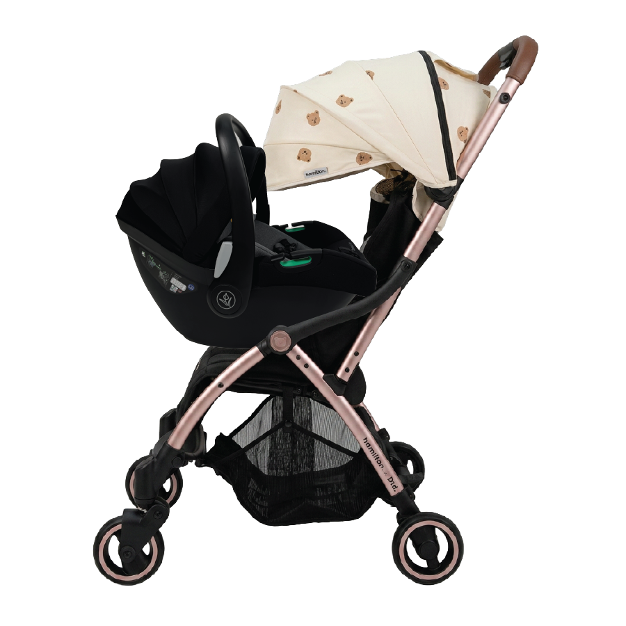 X1 Plus x DTD Travel System