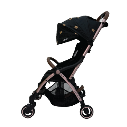X1 Plus x DTD Stroller