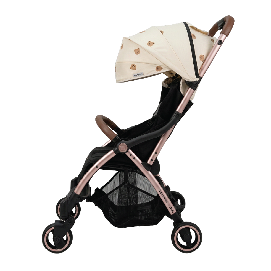 X1 Plus x DTD Stroller