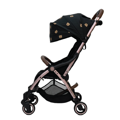 X1 Plus x DTD Stroller