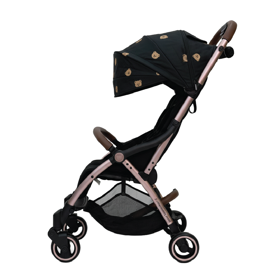 X1 Plus x DTD Stroller